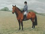 Horse and rider
