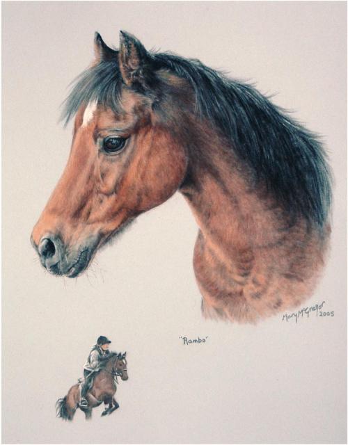 Pony in pastel