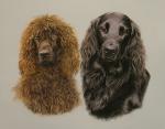 rory & darra