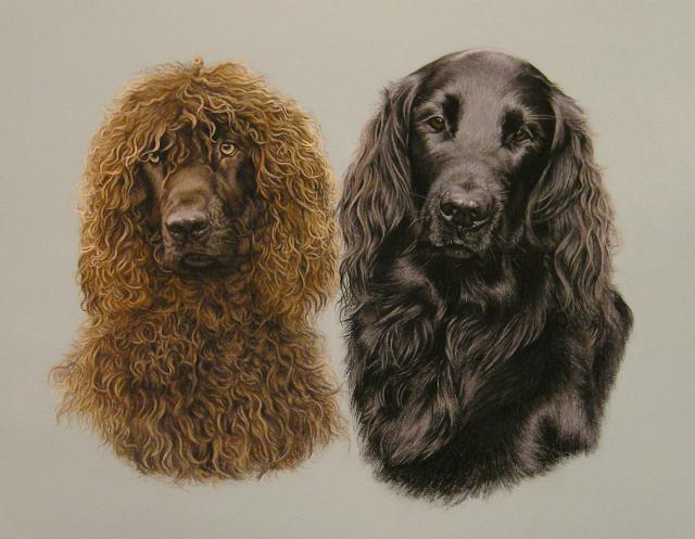 rory & darra