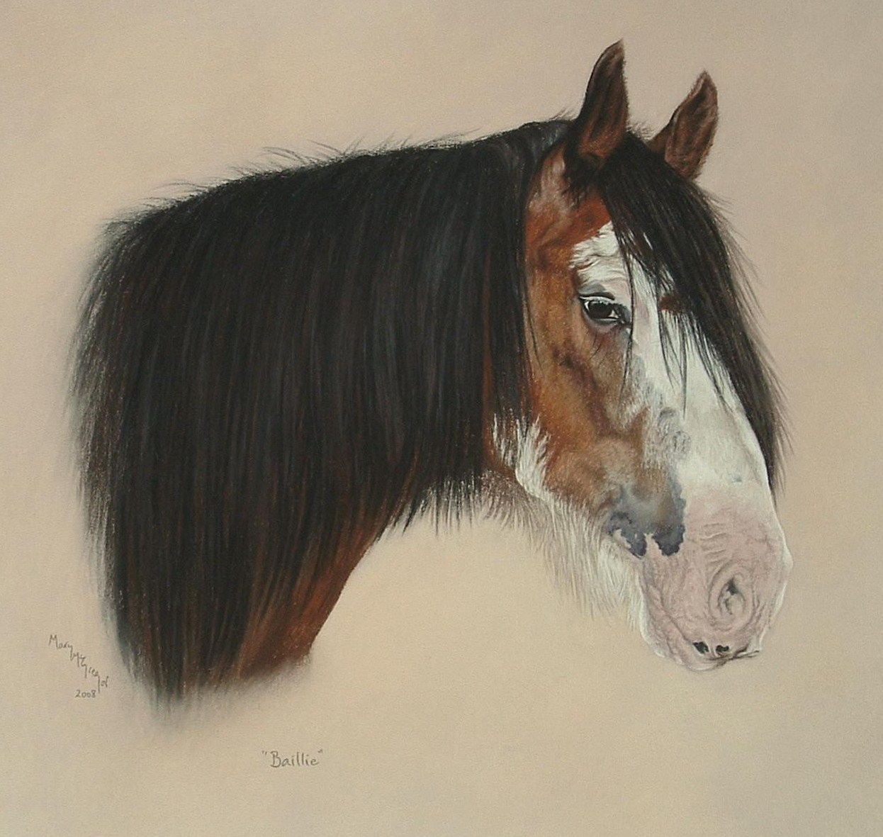 baillie