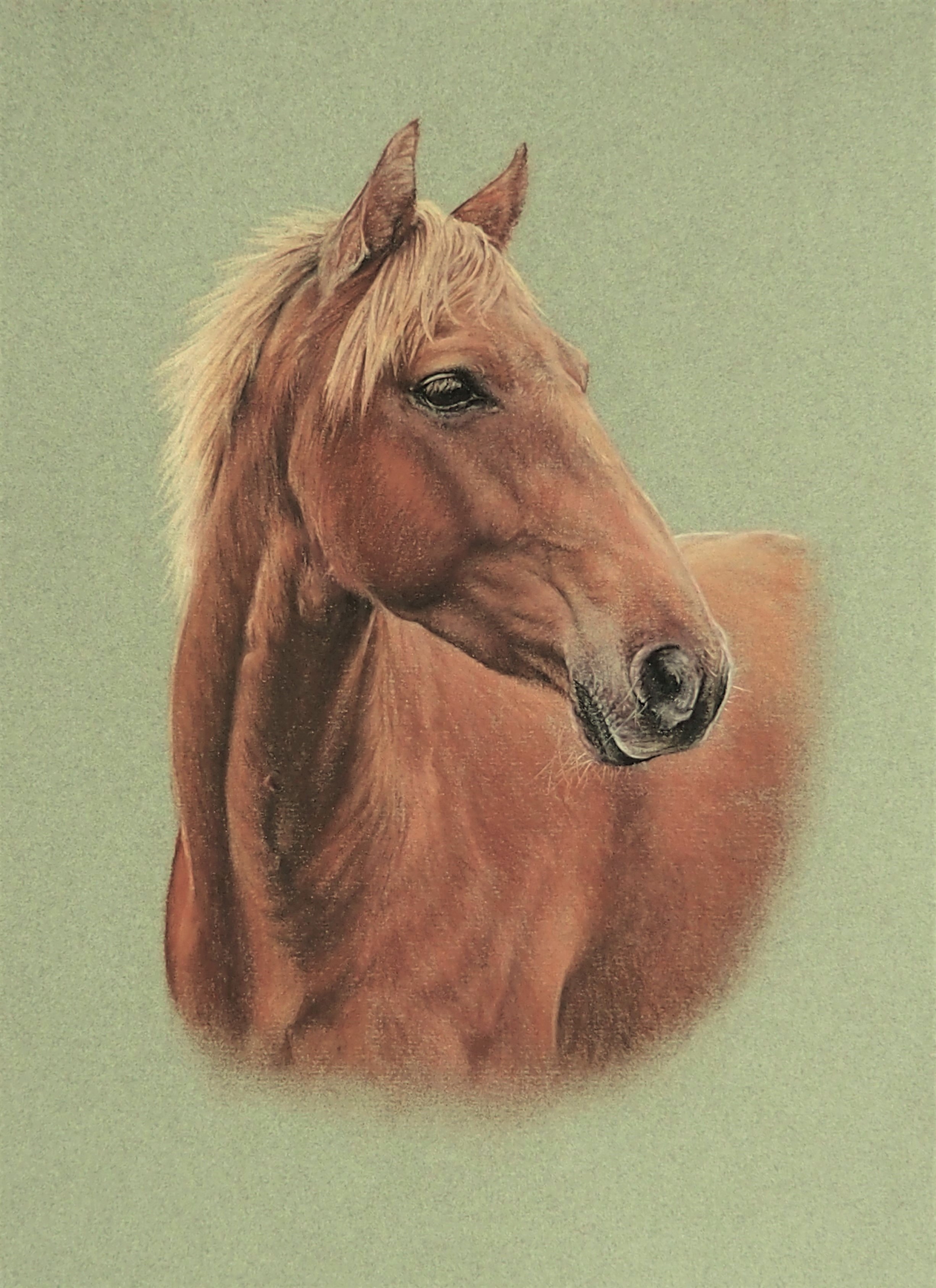 Pastel portrait