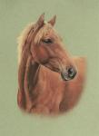 Pastel portrait