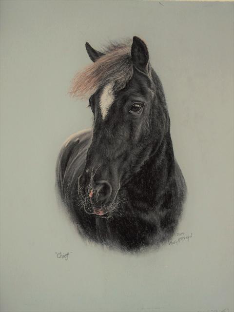 Pastel portrait