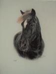 Pastel portrait