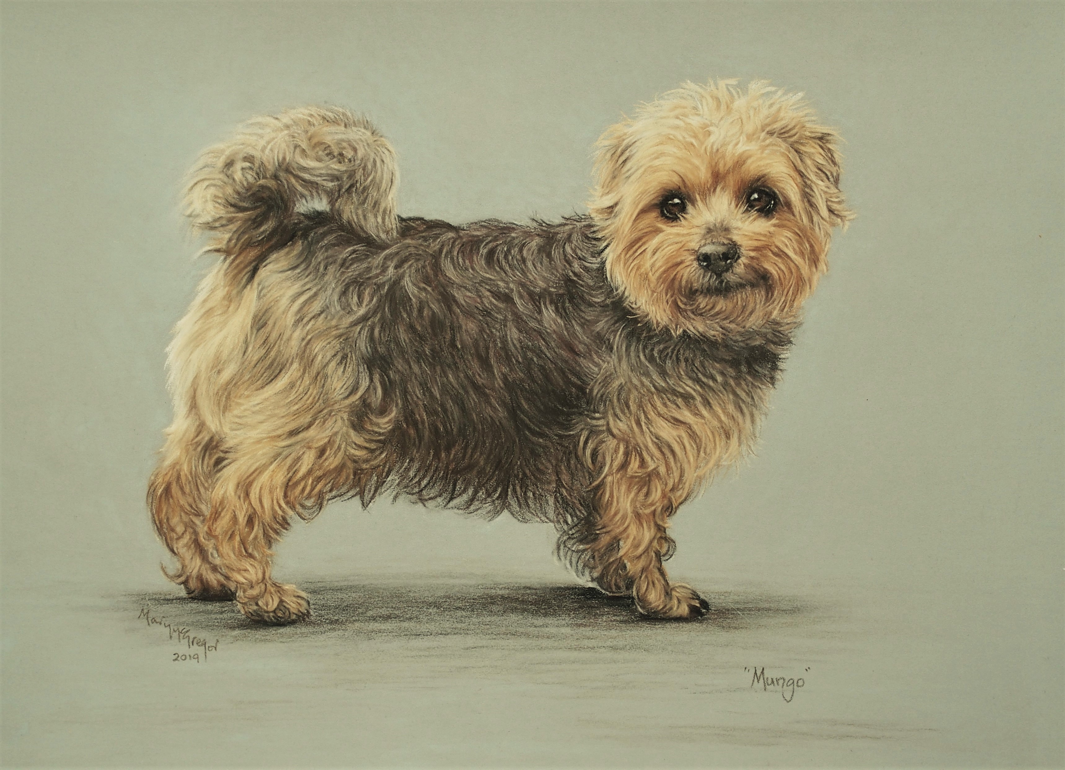 Mungo