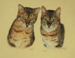 Dash and Dana