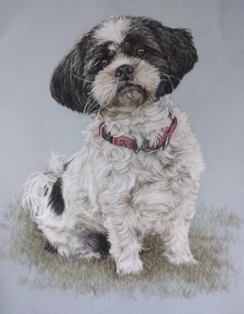 pastel panting of Josie