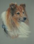 Beautiful Laika