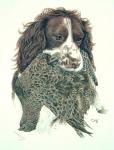 working springer
