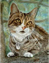 Cat in Tree in pastel