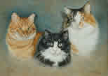 Norwegian Forest Cats in pastel